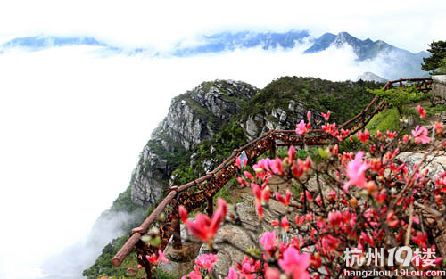 应识庐山真面目,只缘身在此山中