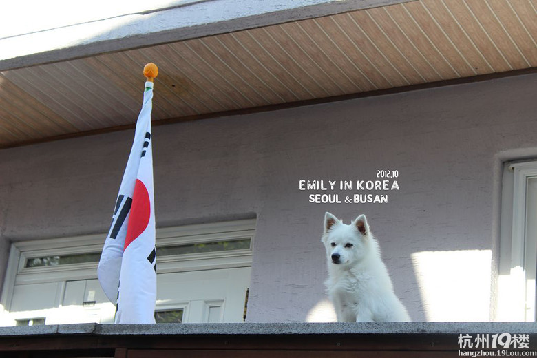 emily;ӛnС2012 in seoul & busan