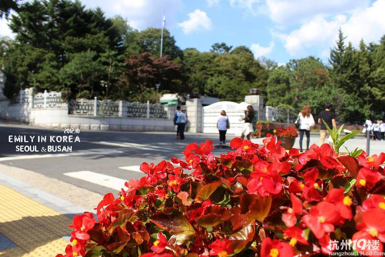emily;ӛnС2012 in seoul & busan
