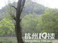 【休闲总动员】上城活跃分子