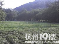 【休闲总动员】上城活跃分子