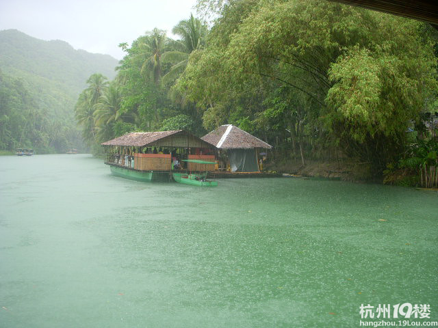 宿雾风景