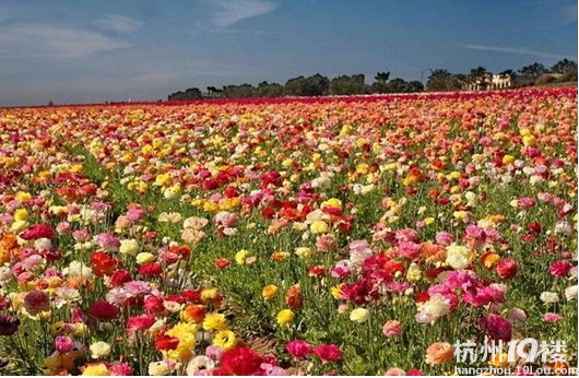 情谷婚纱摄影基地--打造中国最大的婚纱摄影基