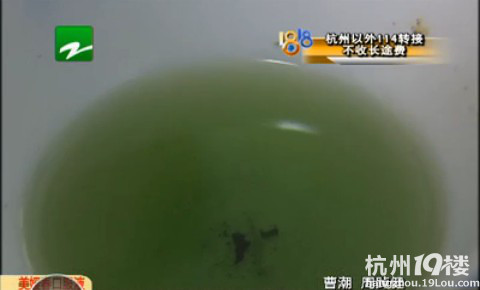 胎菊泡水之后 变成了绿颜色正常吗？