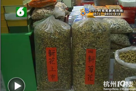 胎菊泡水之后 变成了绿颜色正常吗？