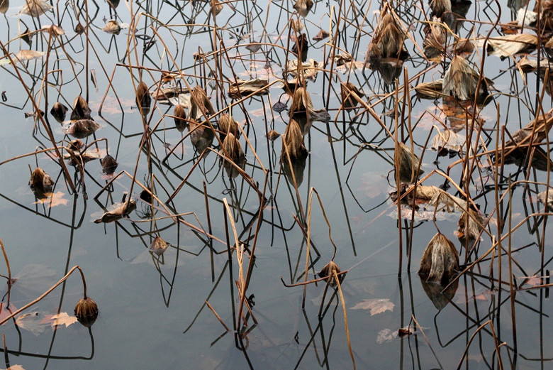 冬季的萧条-边走边拍-手机随手拍-杭州19楼