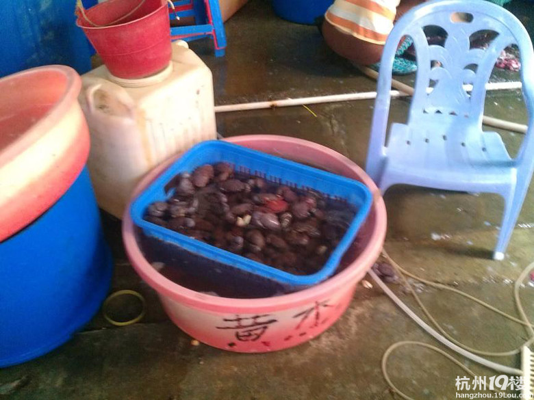 天冷也挡不住吃货,与大奥赶赴码头吃海鲜