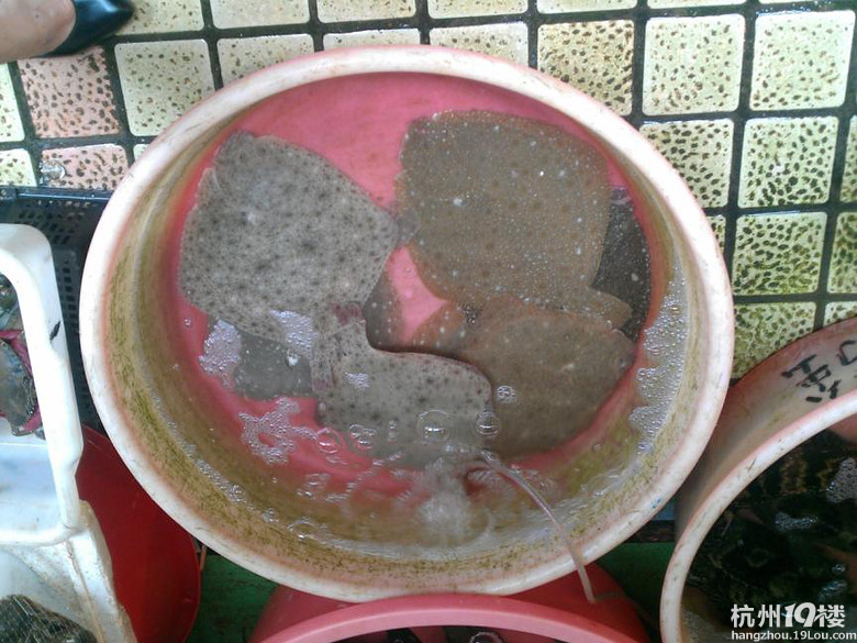天冷也挡不住吃货,与大奥赶赴码头吃海鲜