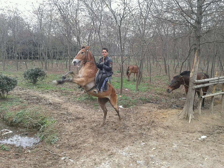 杭州马场4.。杭州兄弟骑士俱乐部