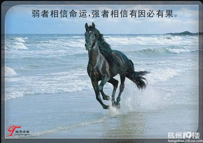 同花小兔 vsj 江南寒衣 小手乱拉 ph.hz 救世猪 紫陀萝