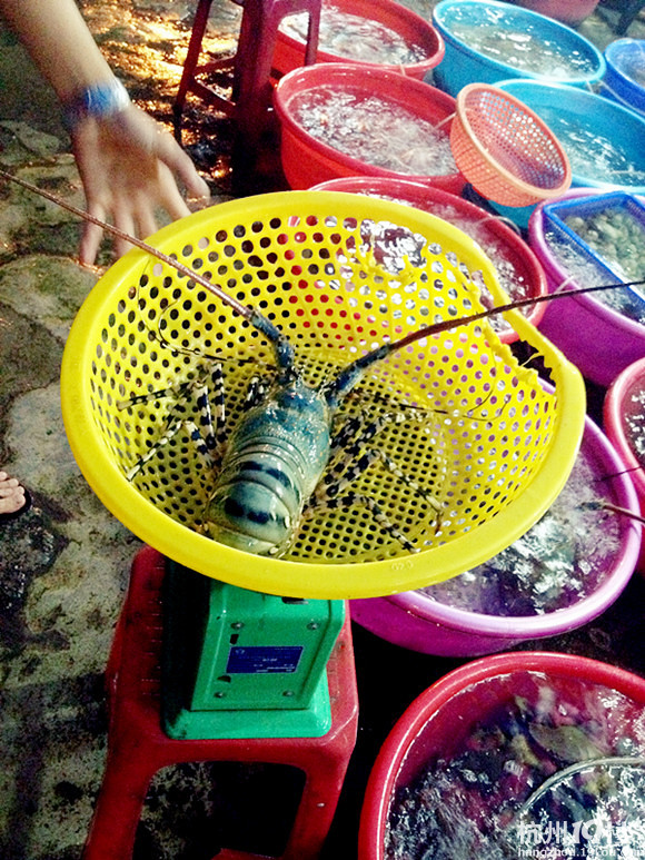 【Fiona.C】越南峴港★DA NANG★一路慢生活...1月13日更新