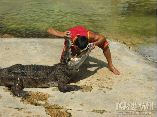 泰囧旅游景点回顾