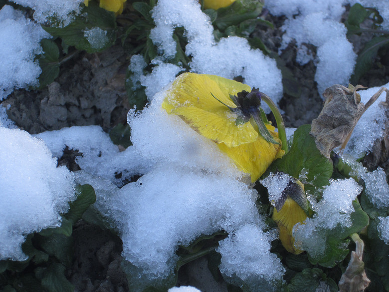 雪姬 第 1 /81张 img_1246.