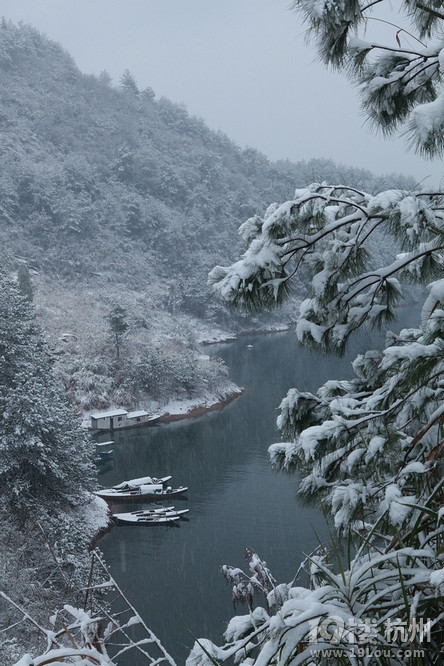 12旅程 戰(zhàn)地黃花分外香