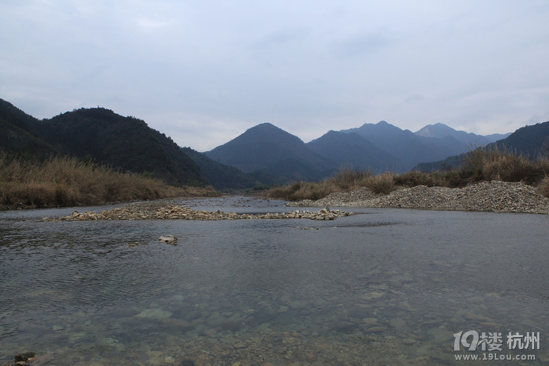 12旅程 戰(zhàn)地黃花分外香