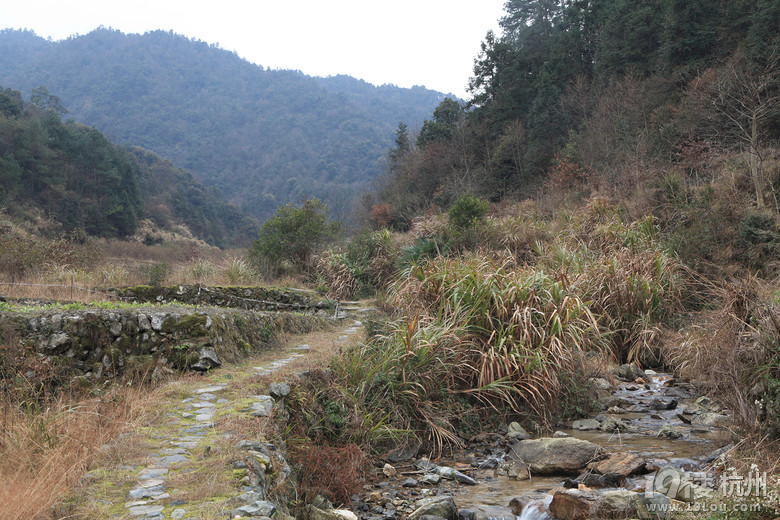 12旅程 戰(zhàn)地黃花分外香