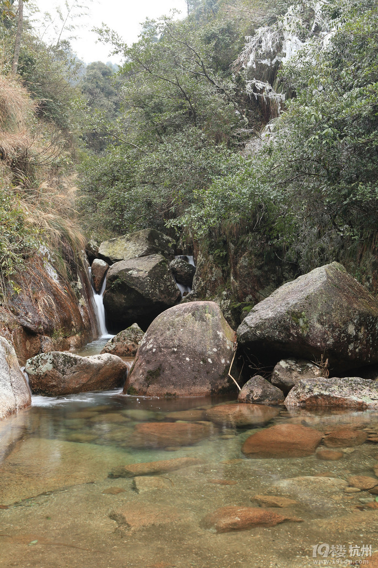 12旅程 戰(zhàn)地黃花分外香