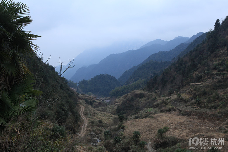 12旅程 戰(zhàn)地黃花分外香