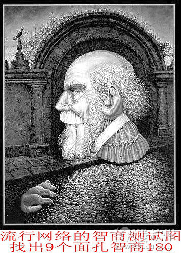你的智商可能180 不信来测试