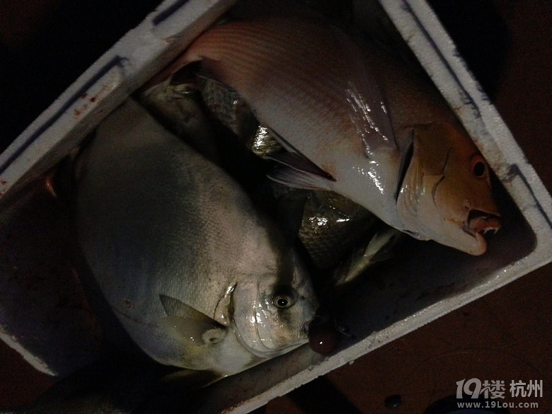 杭州人破了马尔代夫深海垂钓记录