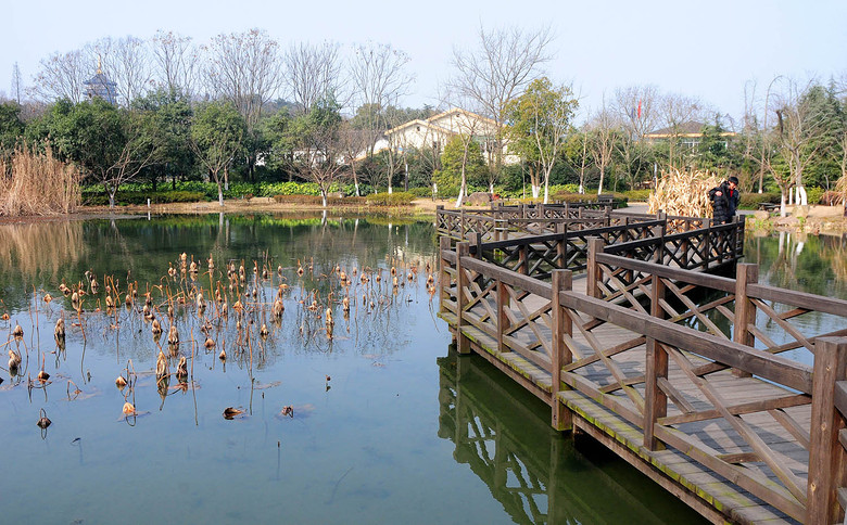 长桥溪水生态修复公园图片