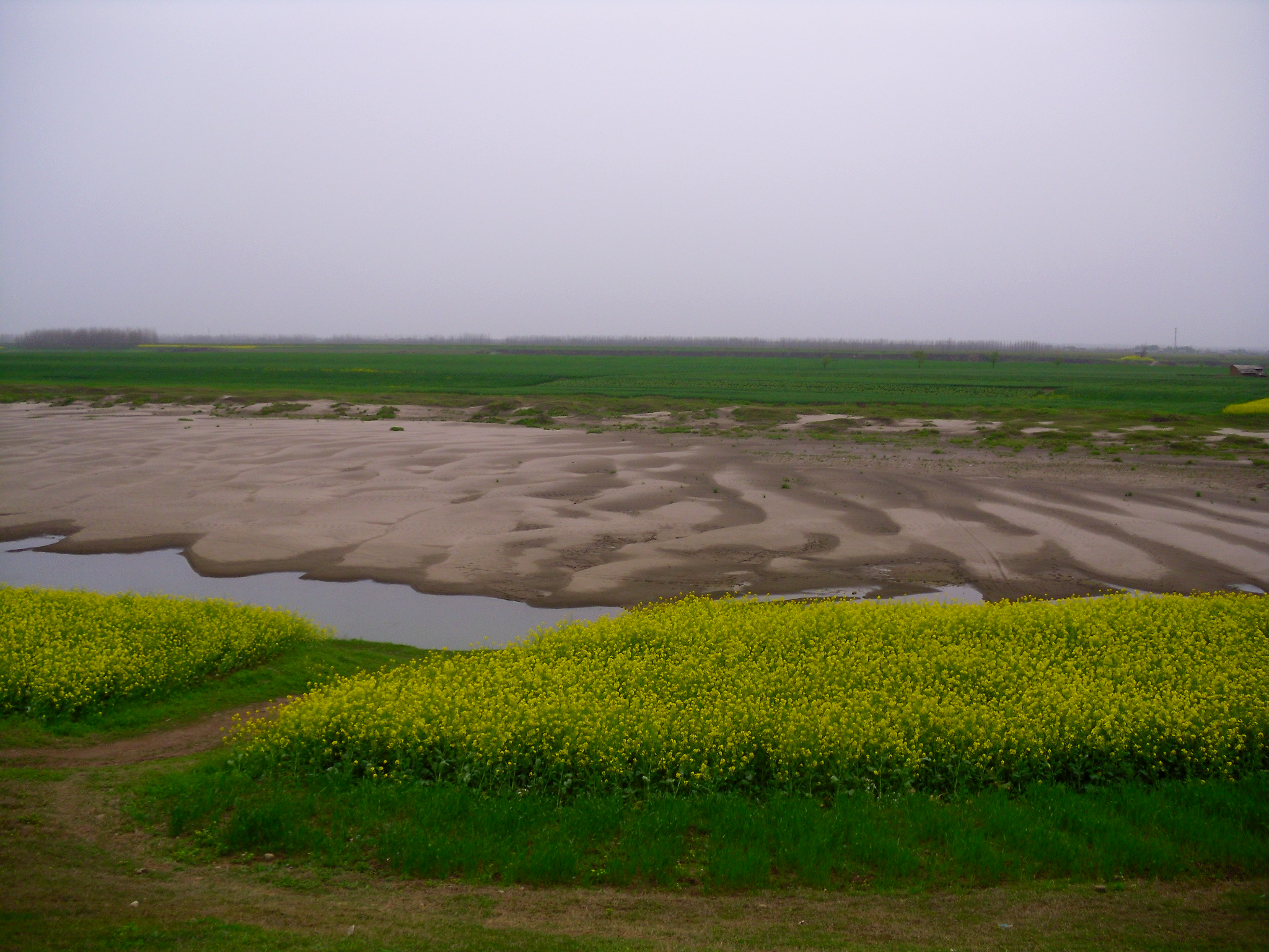 在水中央——家乡百里洲-风景照-19摄区-杭州19楼