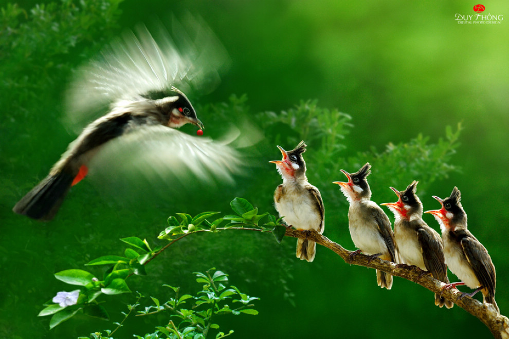 感受自然万物的美丽,神奇和温情