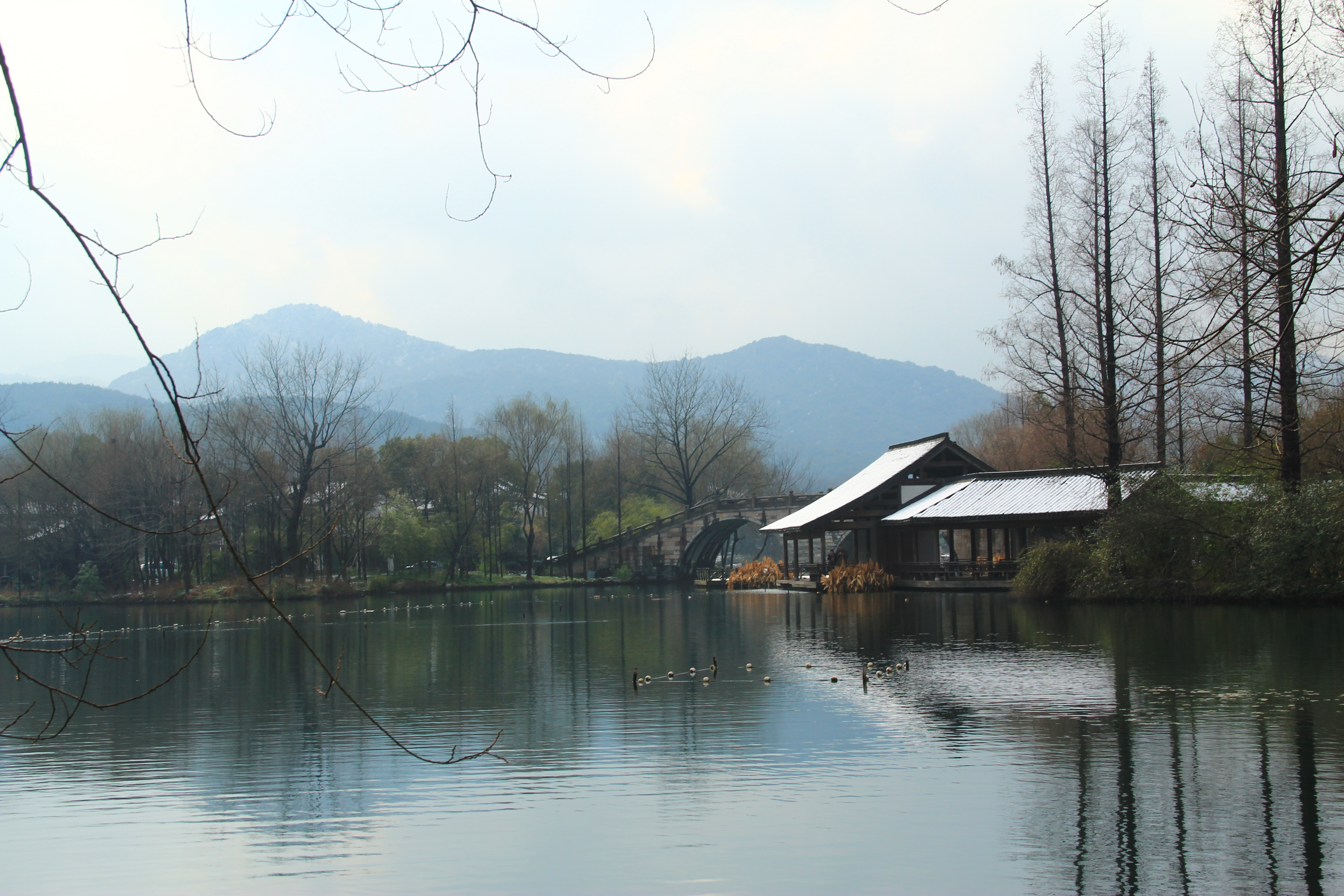 茅乡水情雪淡淡