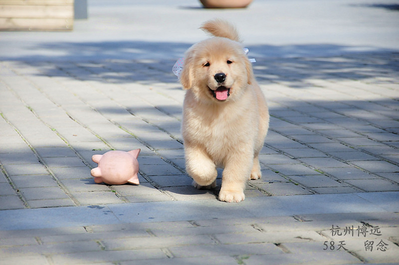 爱我你就亲亲我 喜欢我就抱抱我 - 博远蚊子记