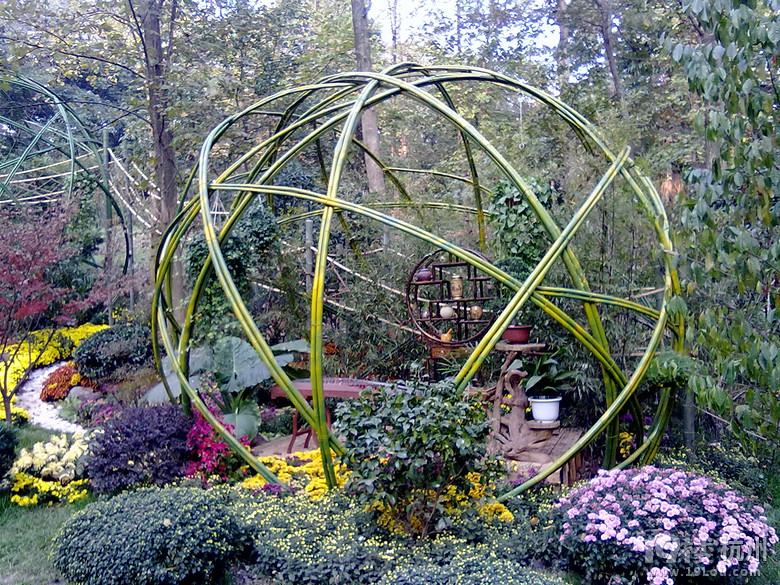 美丽杭州-身边绿色随手拍【话费已到账,请查余