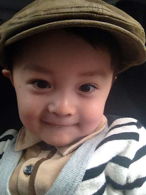 哪来的蒙古小可汗?