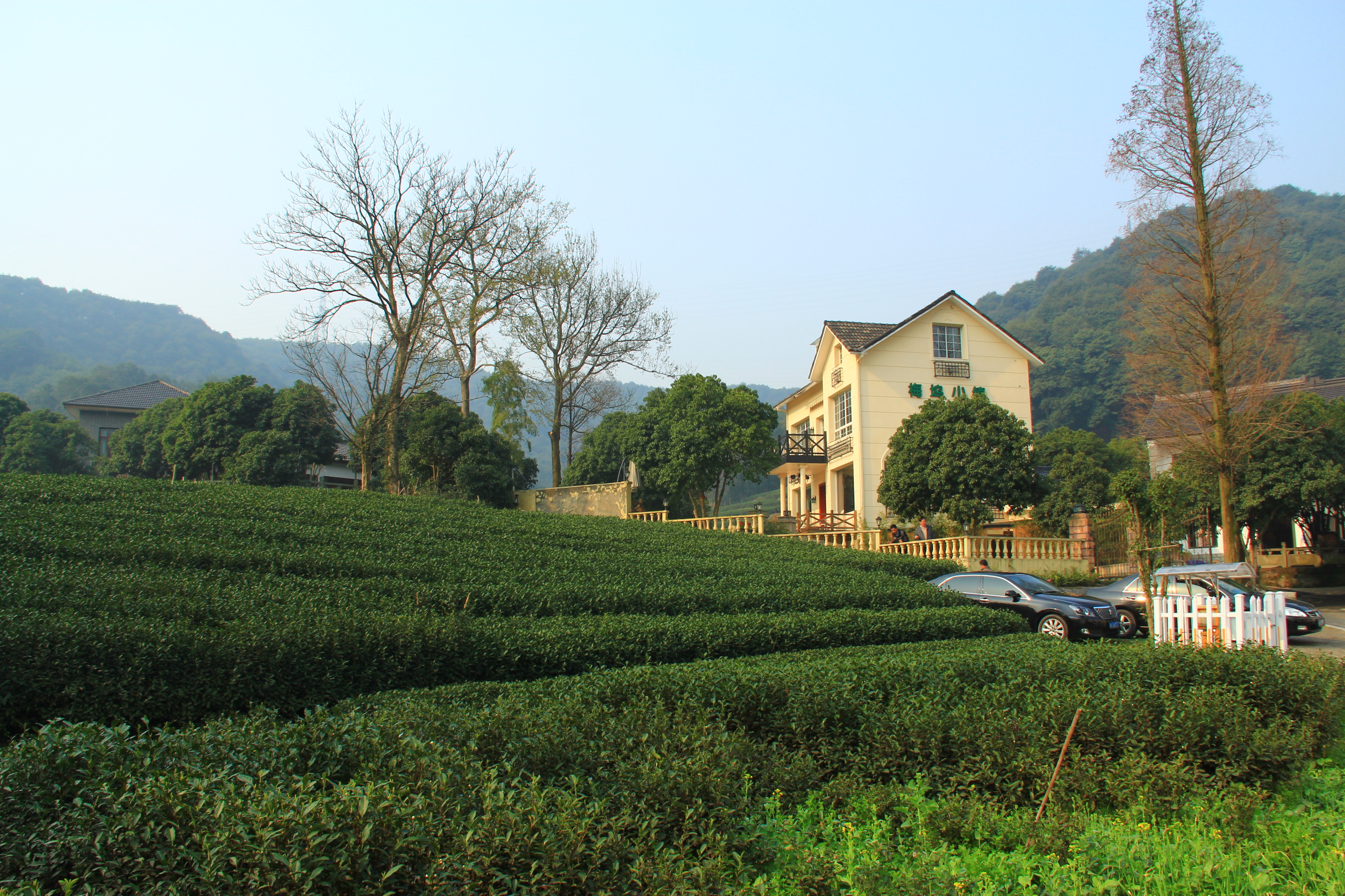 【春天的图画】第二篇——梅坞春早