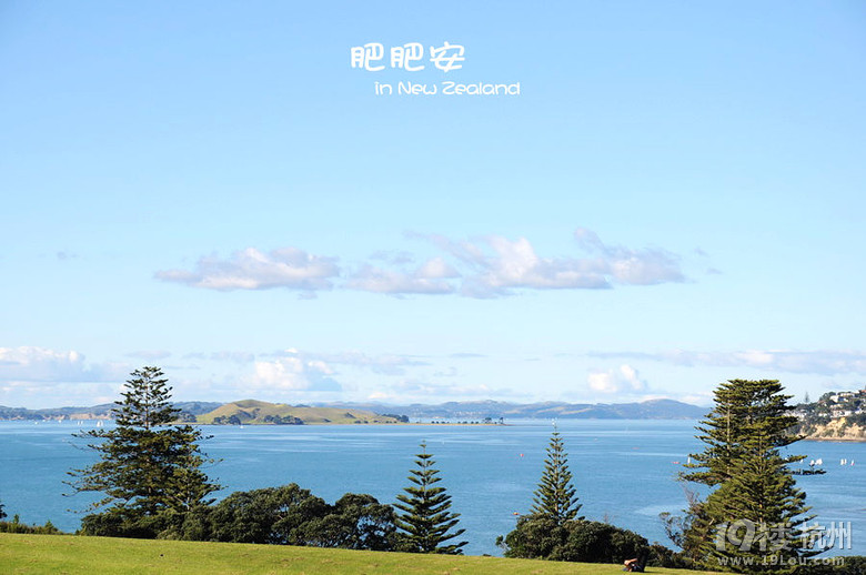 ʷʰαȫ  Auckland