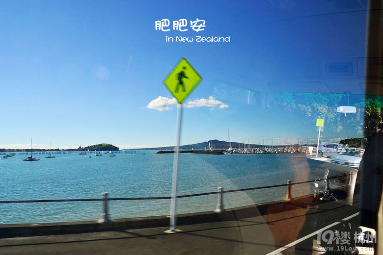 ʷʰαȫ  Auckland