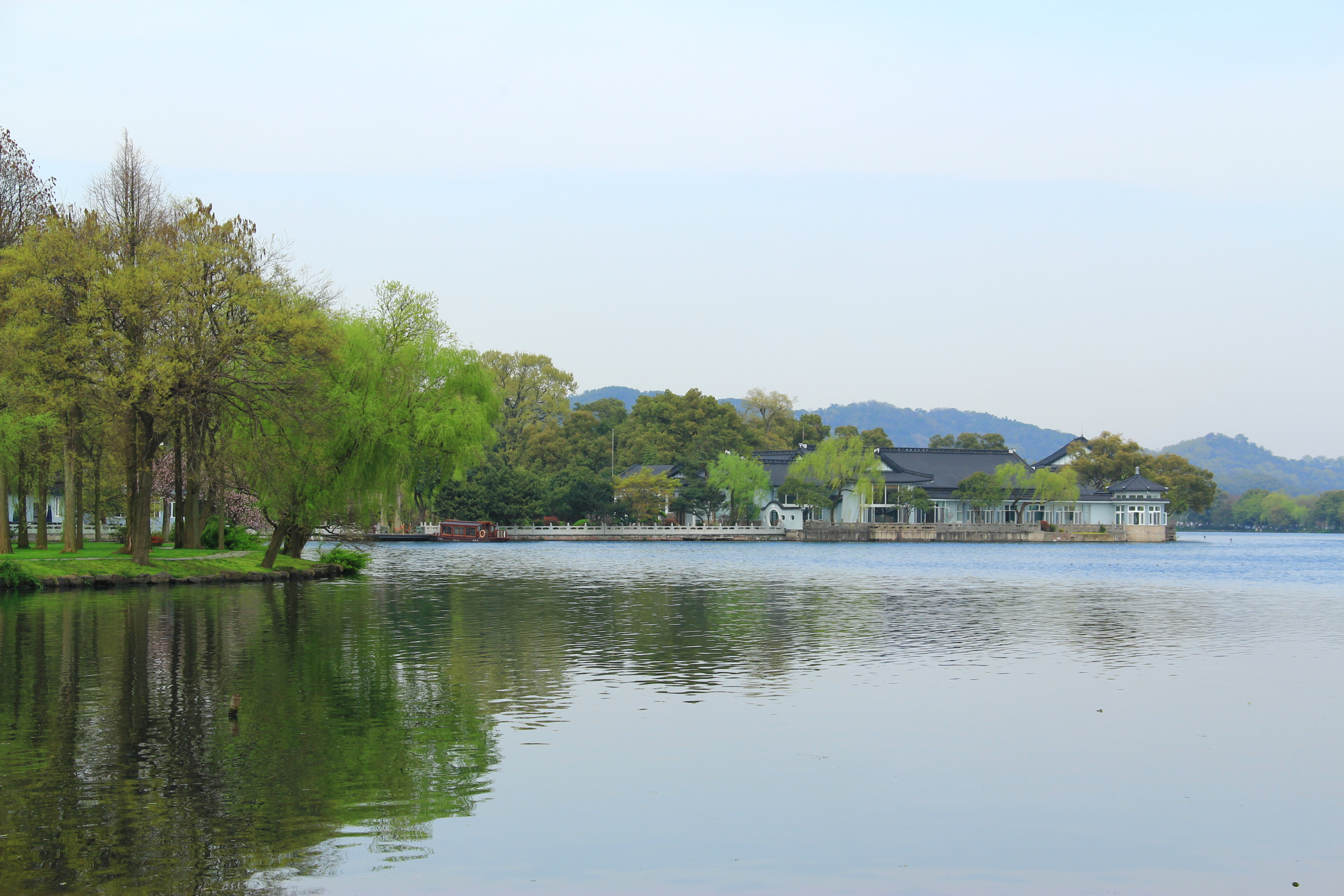 【春天的图画】第九篇——杨堤景行