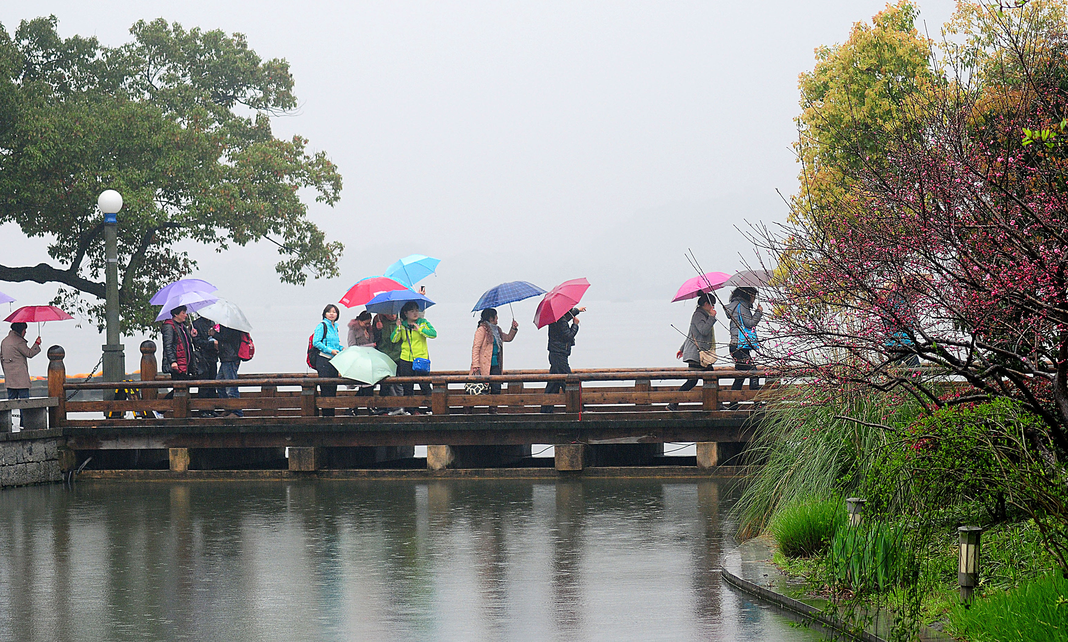 《雨中西湖 伞花朵朵》