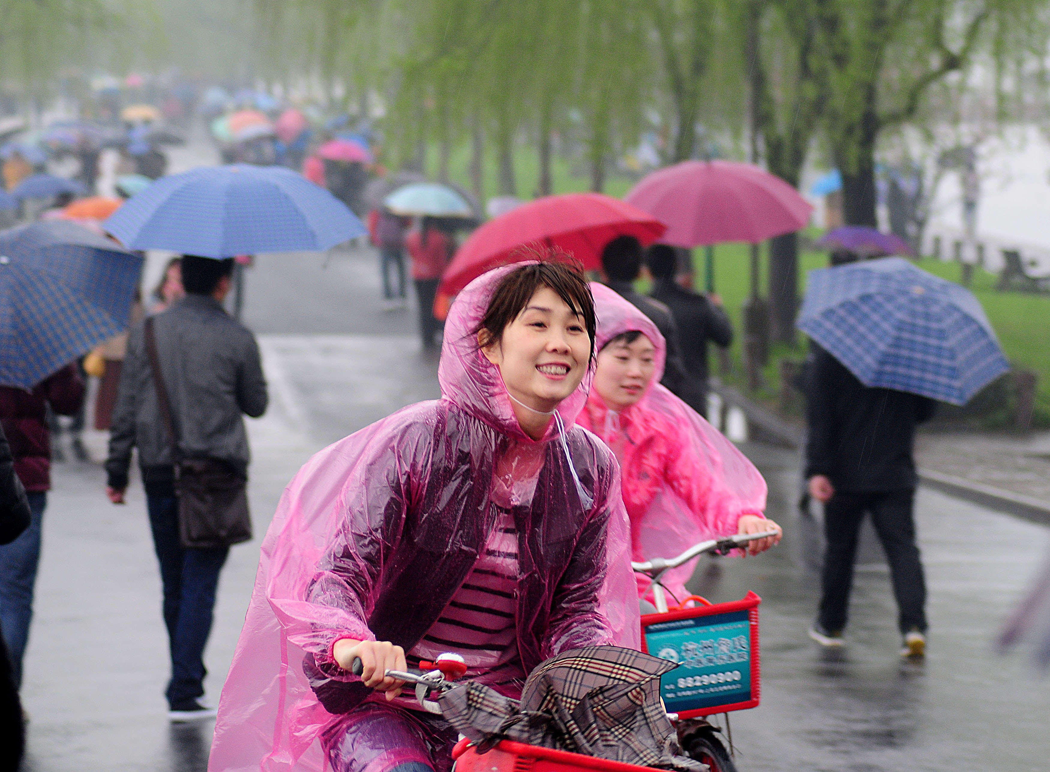 《雨中西湖 伞花朵朵》