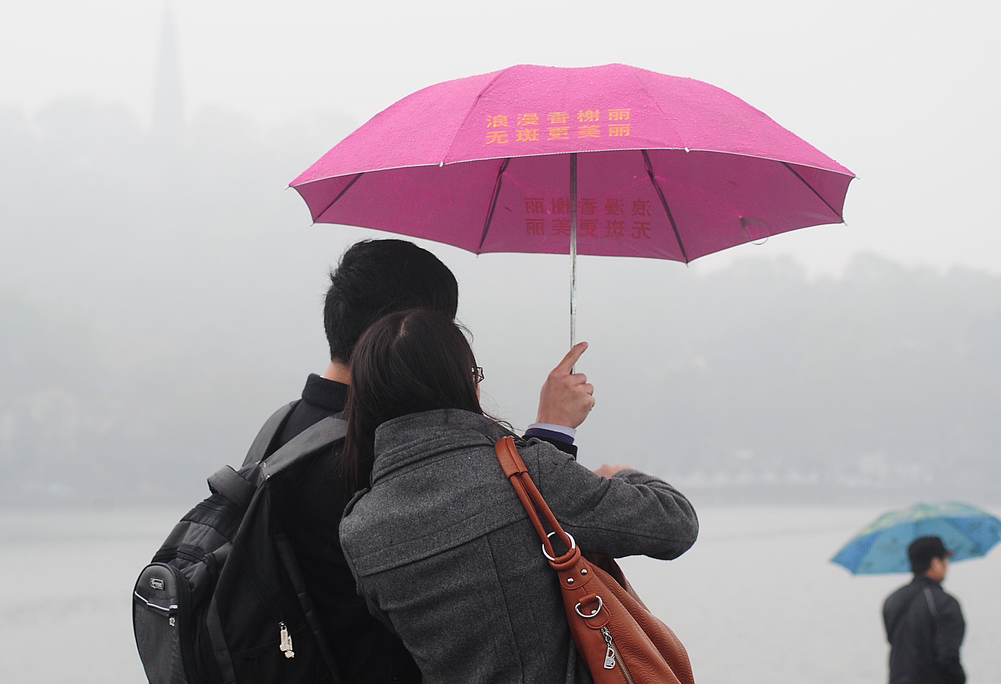 《雨中西湖 伞花朵朵》