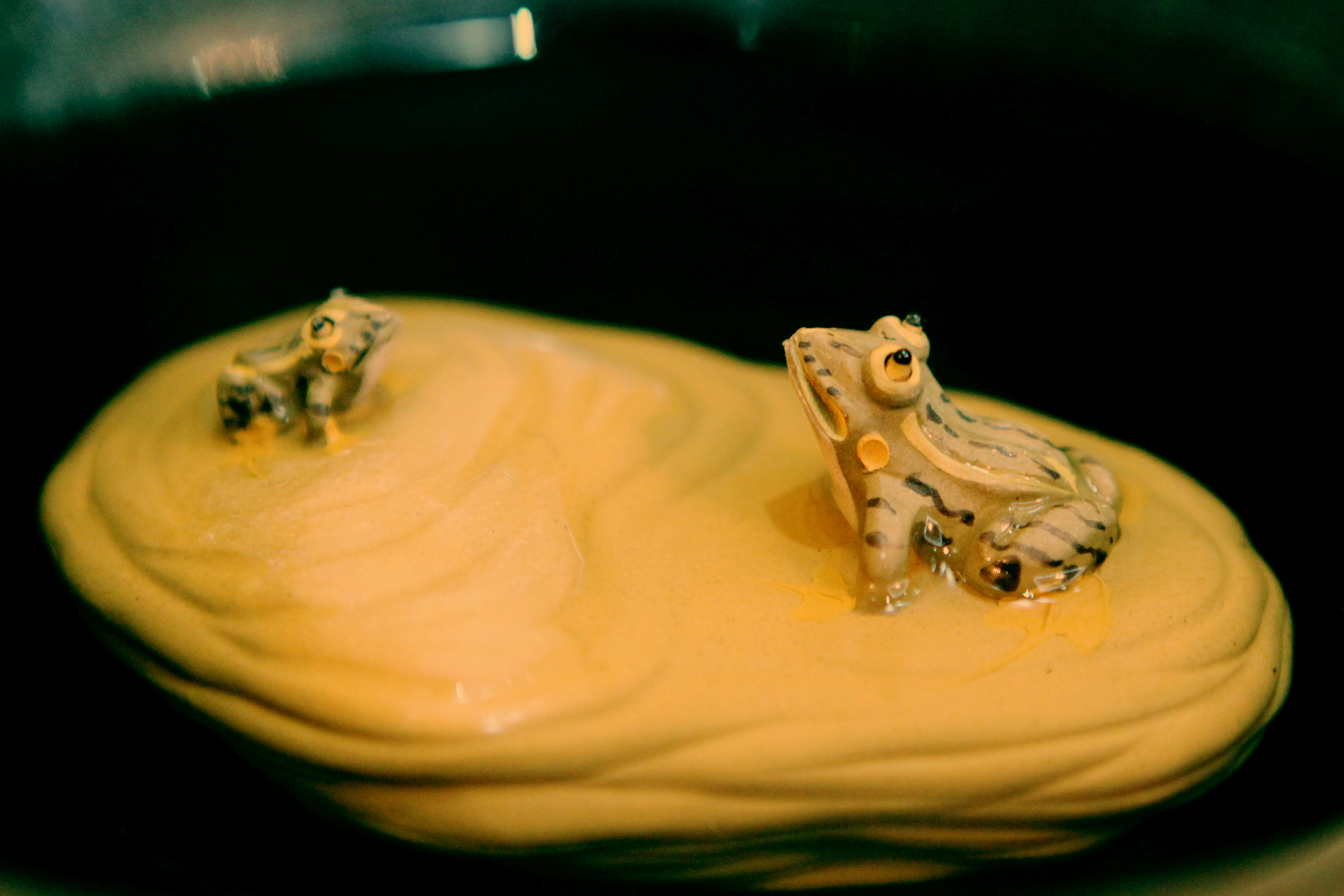 杭州19楼 摄影天堂 19摄区 静物 静物小品