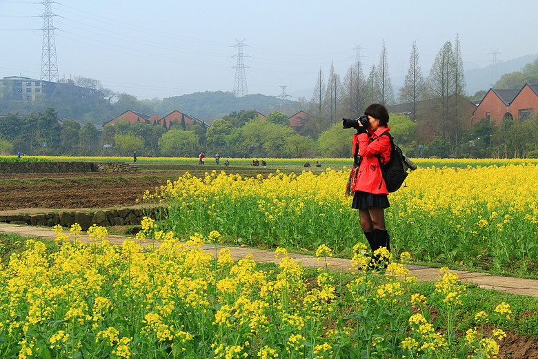 【春天的图画】第十五篇——金色八卦田