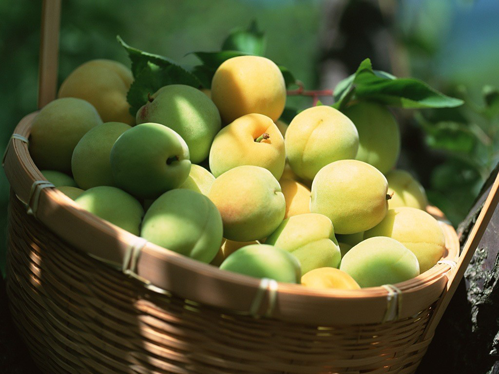 纤体梅 日式梅干