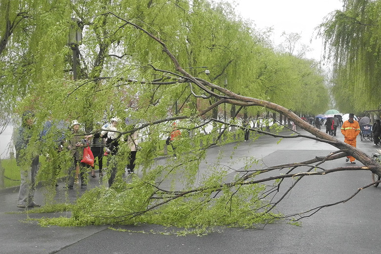 一波刚停一波又起 4月大风不消停_生活服务_资讯_乐活信息