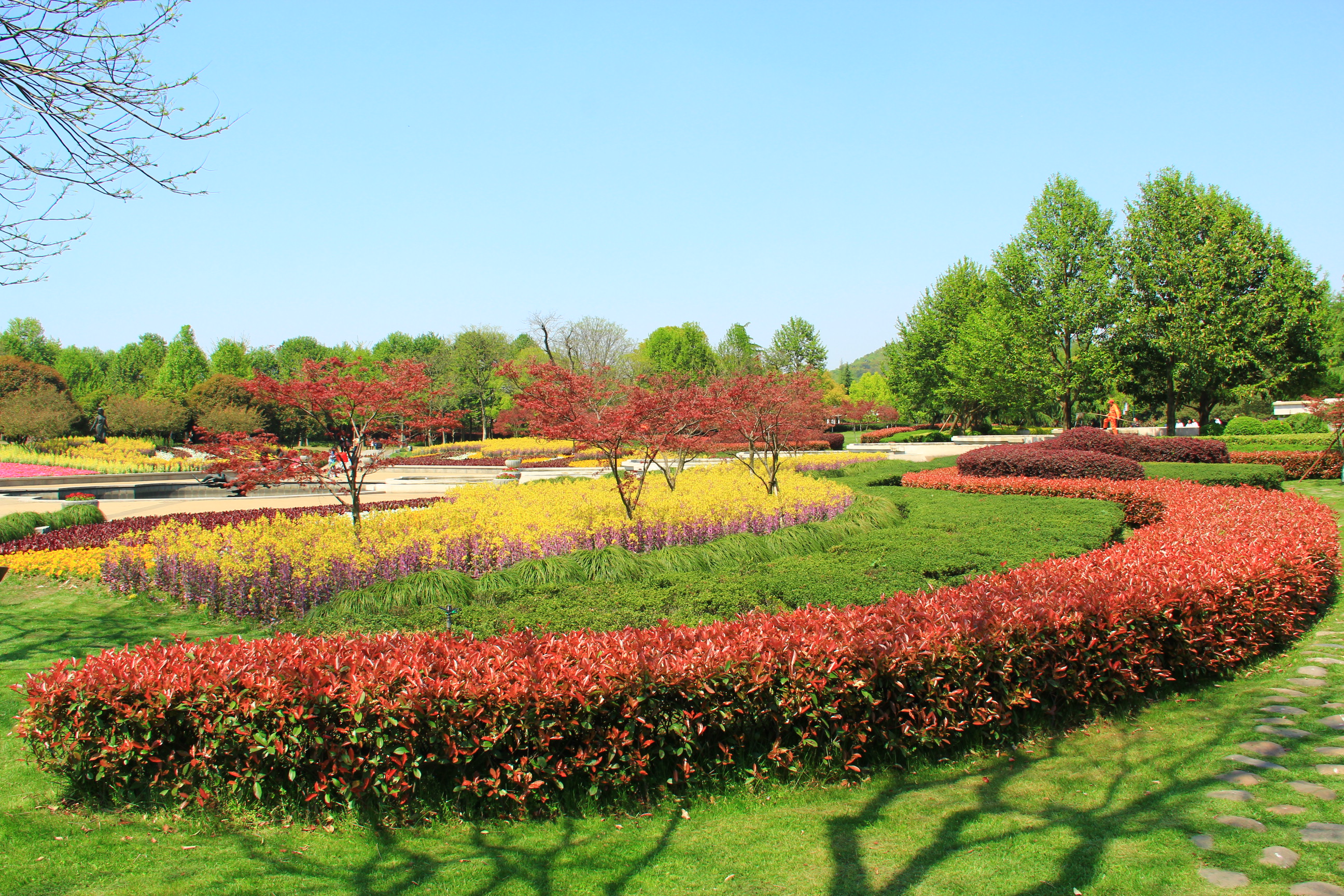 【花圃】——莳花广场