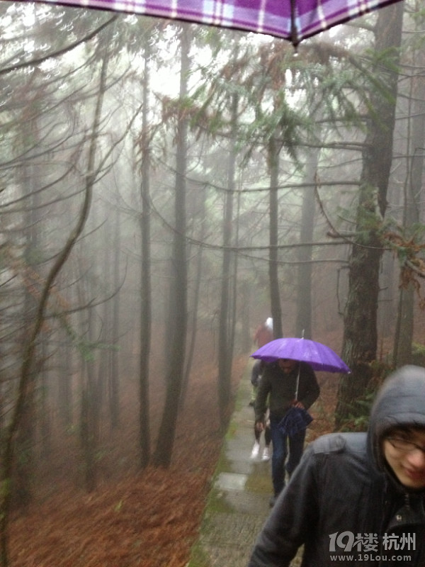 清明节 我们的有氧自驾之旅—“神龙谷+龙泉山”!