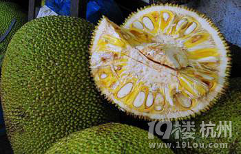 菠萝蜜益气养精补肾