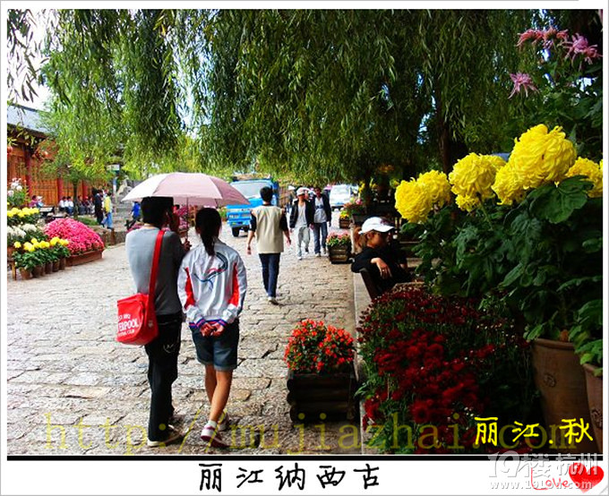 去云南丽江自助游要穿什么衣服 丽江四季天气