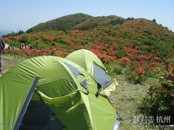 5月4-5日让我们一起露营在绿葱湖看杜鹃花开  有意向点进