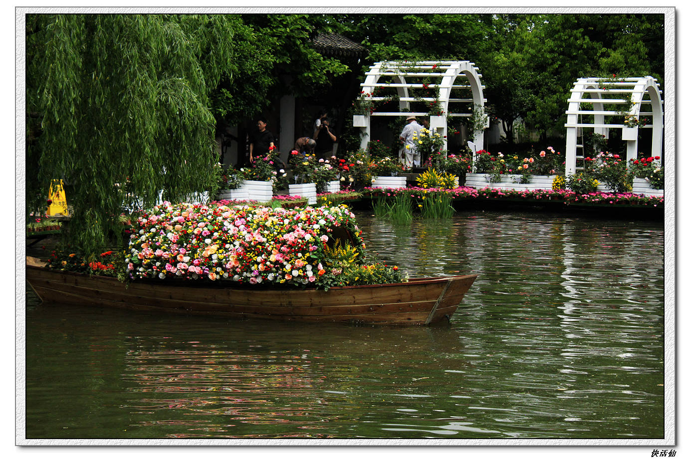 郭庄花展-其他-19摄区-杭州19楼