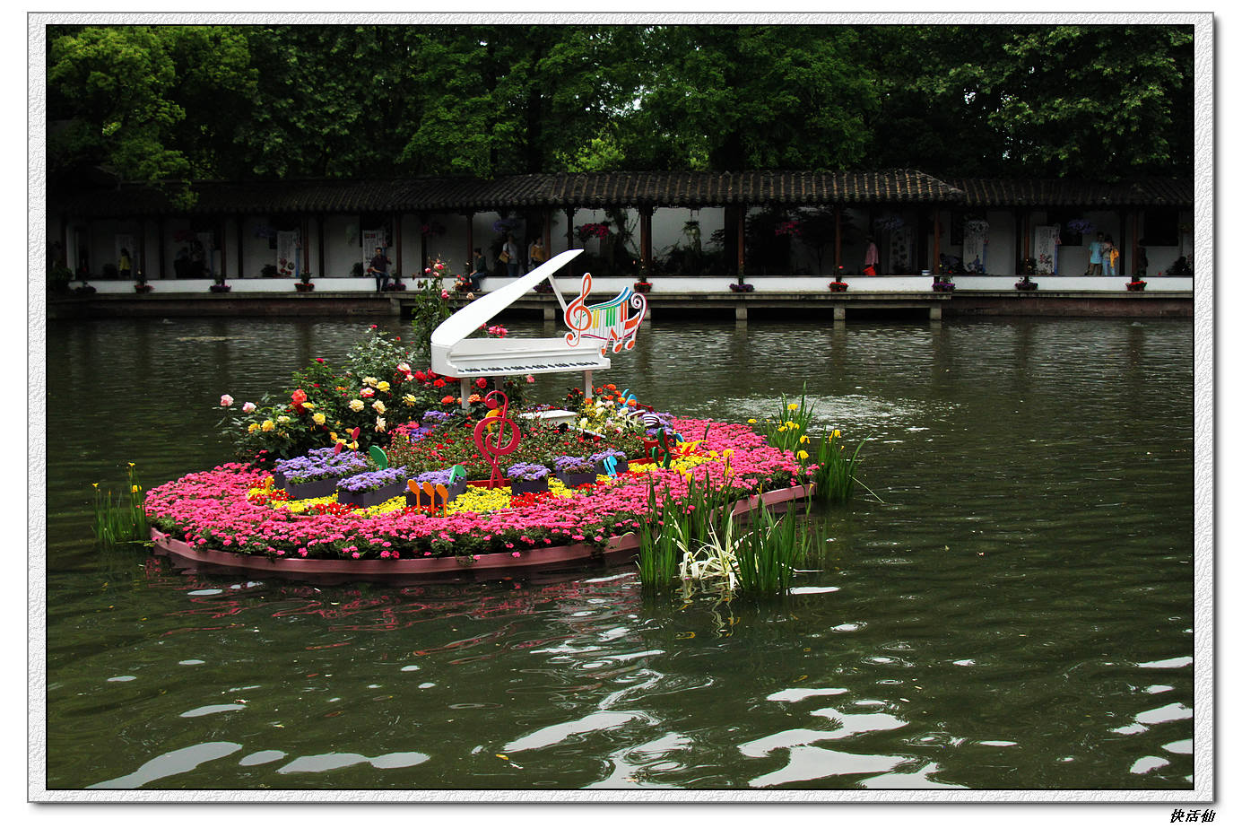 郭庄花展-其他-19摄区-杭州19楼