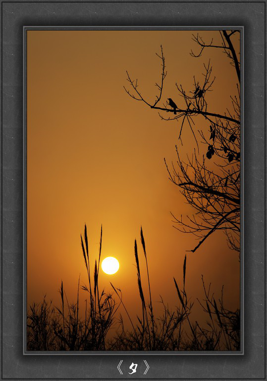 夕-----(夕阳下的美景)